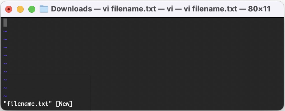 vi-editor-1