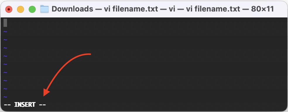 vi-editor-2