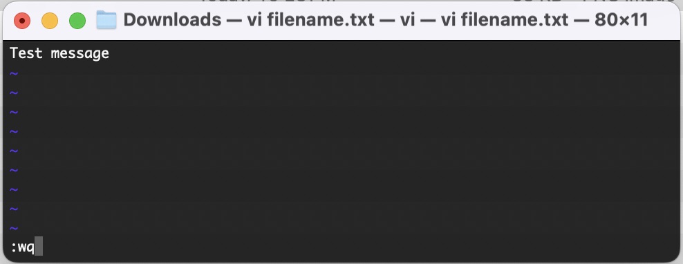 vi-editor-4